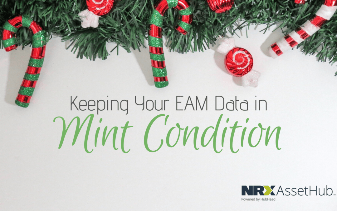 Keeping Your EAM Data in Mint Condition