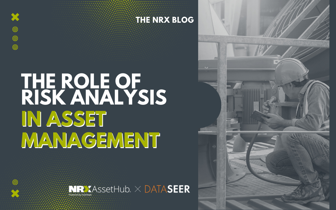 The Role of Risk Analysis in Asset Management