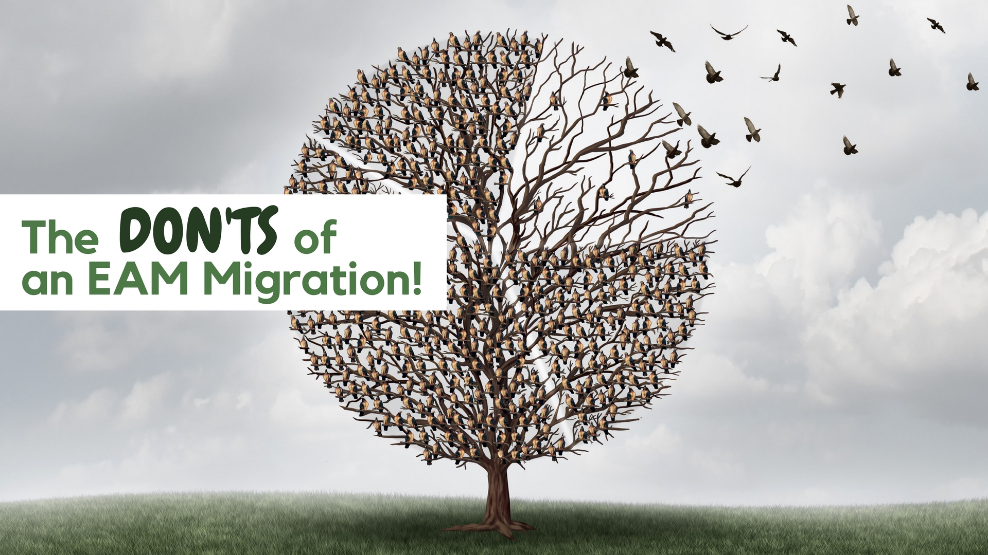 EAM Migration