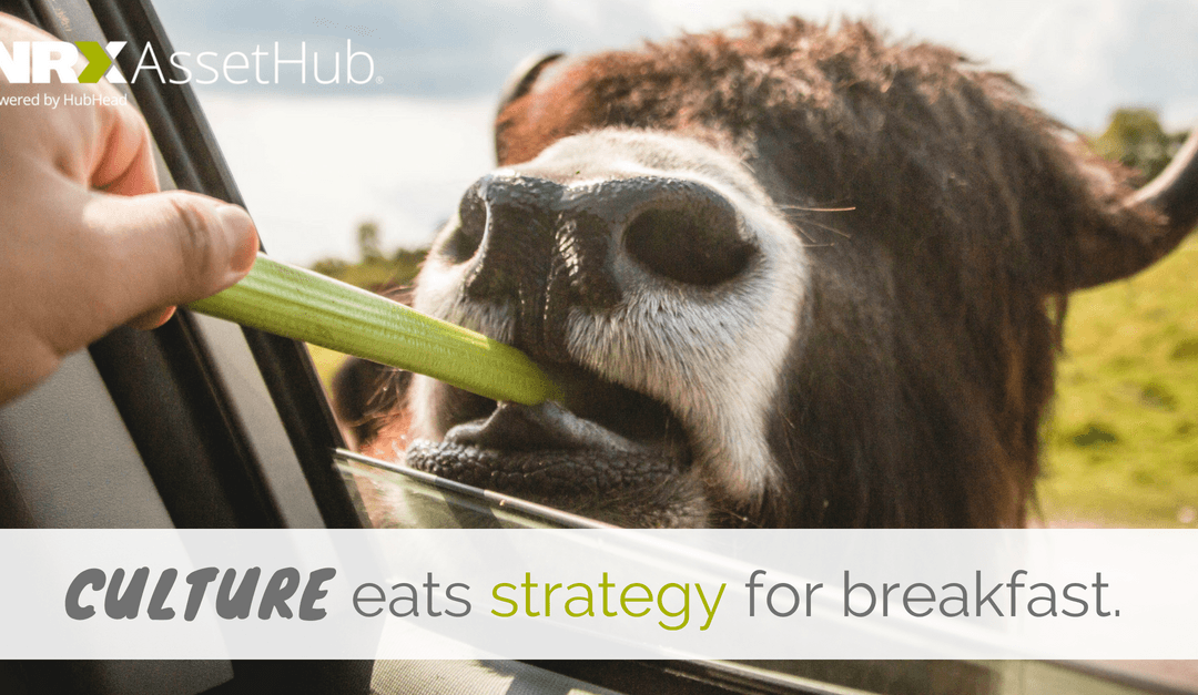 Culture eats Strategy for Breakfast
