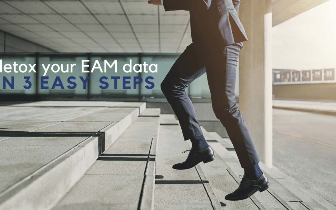 Detox Your EAM Data in 3 Easy Steps